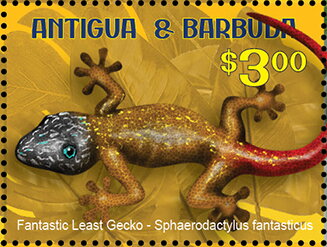Fantastic Least Gecko (Sphaerodactylus fantasticus)