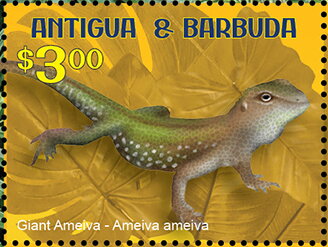 Stamp, Giant Ameiva (Ameiva ameiva), Antigua and Barbuda,  , Animals (Fauna), Reptiles