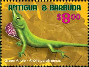 Stamp, Green Anole (Anolis carolinensis), Antigua and Barbuda,  , Animals (Fauna), Reptiles