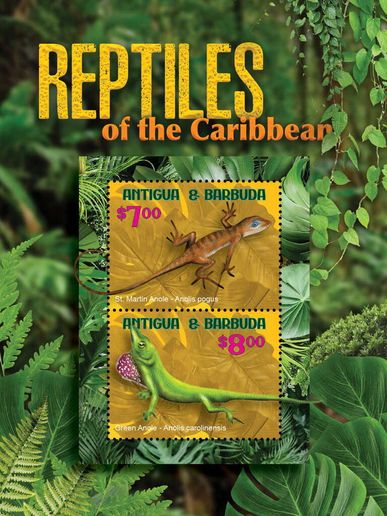 Reptiles of the Caribbean