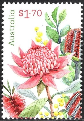 Native Flowers of Australia