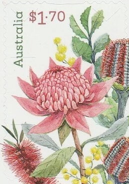 Native Flowers of Australia