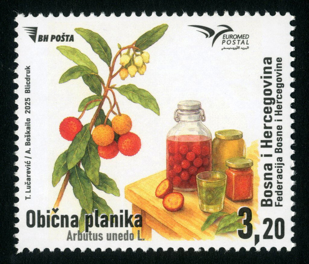 Euromed 2025 : Madrone (Arbutus unedo)