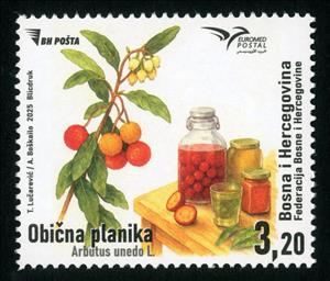 Stamp, Euromed 2025 : Madrone (Arbutus unedo), Bosnia and Herzegovina,  , Euromed, Fruits and Berries