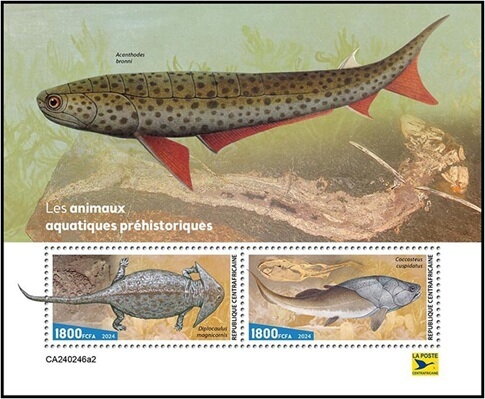 (Diplocaulus magnicornis) and (Coccosteus cuspidatus)