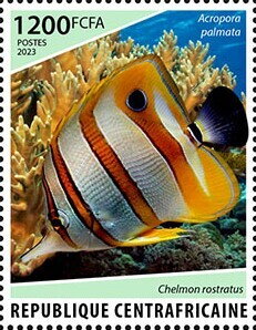 Stamp, Acropora palmata, Chelmon rostratus, Central African Republic,  , Animals (Fauna), Corals and Sponges, Fishes, Sea Life