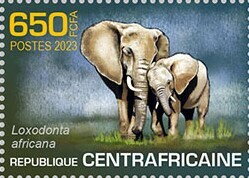 African bush elephant (Loxodonta africana)
