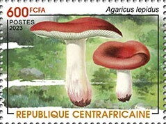 Agaricus lepidus