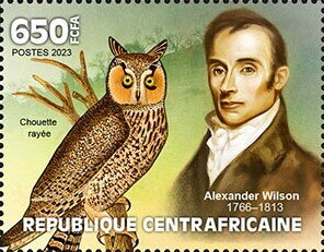 Alexander Wilson 1766–1813, Barred Owl