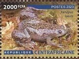 Amphibians and Reptiles of the Central African Republic