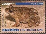 Amphibians and Reptiles of the Central African Republic