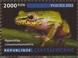 Amphibians and Reptiles of the Central African Republic