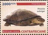 Amphibians and Reptiles of the Central African Republic