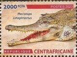 Amphibians and Reptiles of the Central African Republic