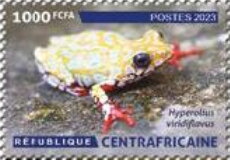 Amphibians and Reptiles of the Central African Republic