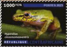 Amphibians and Reptiles of the Central African Republic