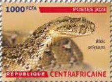Amphibians and Reptiles of the Central African Republic