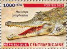 Amphibians and Reptiles of the Central African Republic