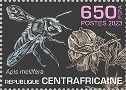Apis mellifera