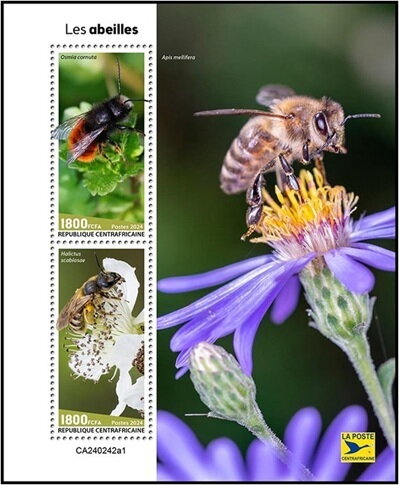 Bees (Osmia cornuta) and (Halictus scabiosae)