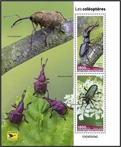 Souvenir Sheet, Beetles (Lucanus cervus) and (Gaurotes virginea), Central African Republic,  , Animals (Fauna), Beetles, Insects