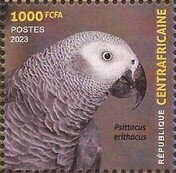 Birds of the Central African Republic