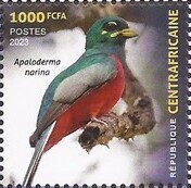 Birds of the Central African Republic