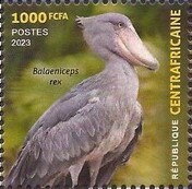 Birds of the Central African Republic