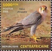 Birds of the Central African Republic