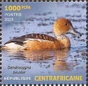 Birds of the Central African Republic