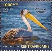 Birds of the Central African Republic