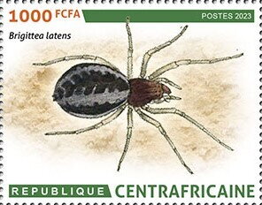 Stamp, Brigittea latens, Central African Republic,  , Animals (Fauna), Insects, Spiders
