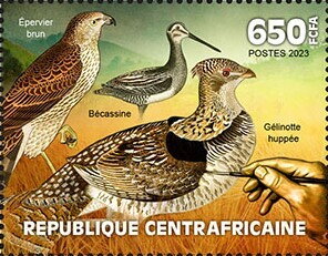 Stamp, Brown hawk, Snipe, Ruffed grouse, Central African Republic,  , Animals (Fauna), Anniversaries and Jubilees, Birds, Birds of Prey