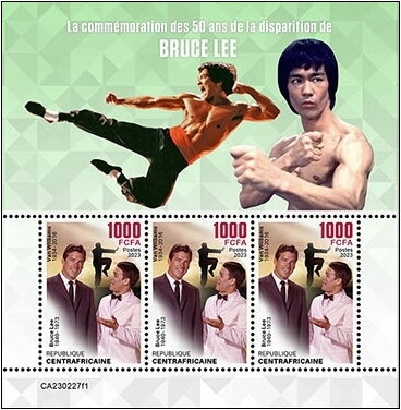 Bruce Lee (1940–1973) and Van Williams (1934–2016)
