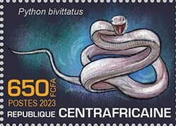 Burmese python (Python bivittatus)