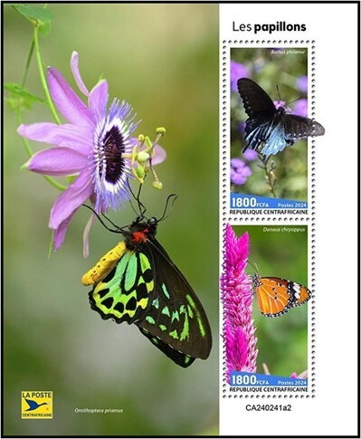 Butterflies (Battus philenor) and (Danaus chrysippus)