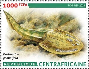 Dartmuthia gemmifera