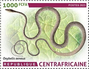 Stamp, Daudin's Vine Snake (Oxybelis aeneus), Central African Republic,  , Animals (Fauna), Reptiles, Snakes