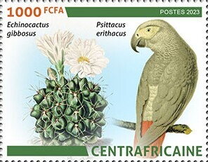 Echinocactus gibbosus, Psittacus erithacus