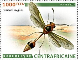 Eumenes elegans