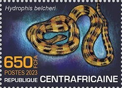 Faint-banded Sea Snake (Hydrophis belcheri)