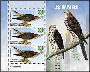 Mini Sheet, Falco biarmicus, Central African Republic,  , Birds of Prey, Falcons