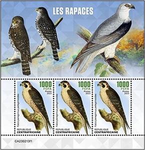 Mini Sheet, Falco peregrinus pelegrinoides, Central African Republic,  , Birds of Prey, Falcons