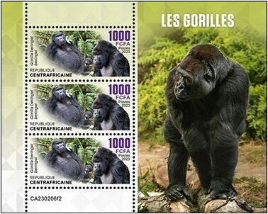 Gorilla beringei beringei