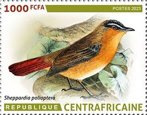 Stamp, Grey-winged robin-chat (Cossypha polioptera), Central African Republic,  , Animals (Fauna), Birds