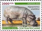 Hippopotamus (Hippopotamus amphibius)
