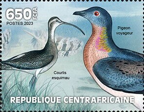 Homing pigeon, Eskimo Curlew