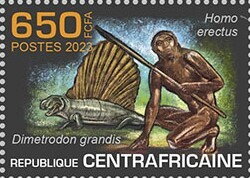 Homo erectus, Dimetrodon grandis