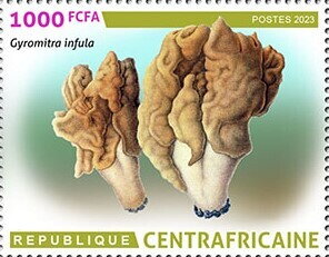 Stamp, Hooded false morel (Gyromitra infula), Central African Republic,  , Mushrooms