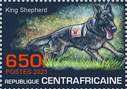 King Shepherd